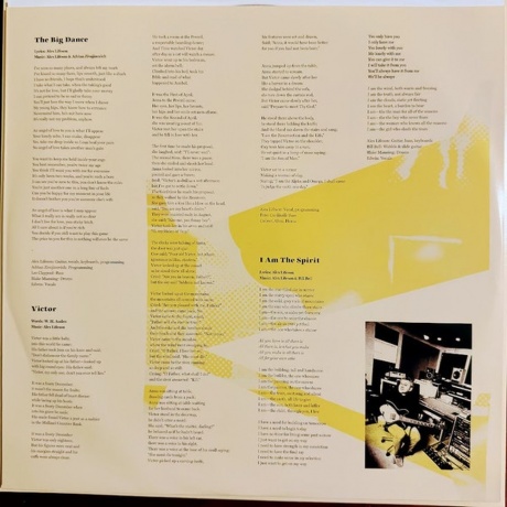 Alex Lifeson - Victor (coloured) (0603497823666) виниловая пластинка - фото 8