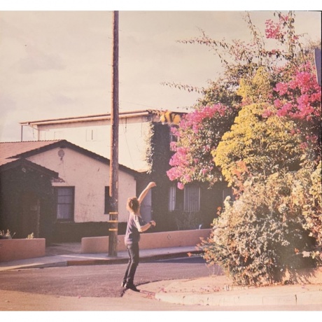 Pond - Stung! (coloured) (0612789326303) виниловая пластинка - фото 4