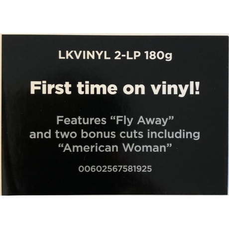 Lenny Kravitz - 5 (0602567581925) виниловая пластинка - фото 14