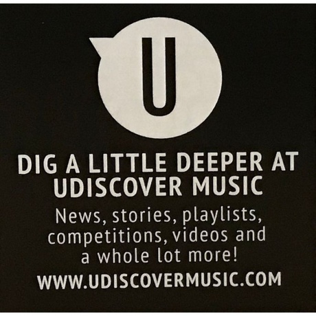 Lenny Kravitz - 5 (0602567581925) виниловая пластинка - фото 16