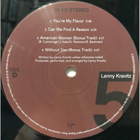 Lenny Kravitz - 5 (0602567581925) виниловая пластинка - фото 9