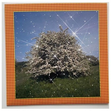 Caribou - Honey (Yellow) (4250506849924) виниловая пластинка - фото 3