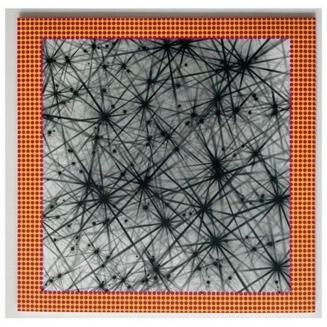 Caribou - Honey (Yellow) (4250506849924) виниловая пластинка - фото 4