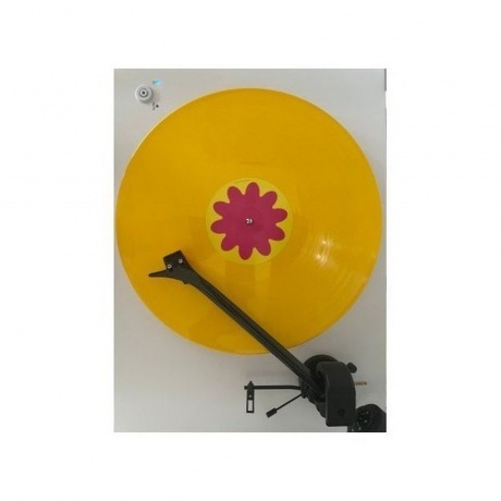 Caribou - Honey (Yellow) (4250506849924) виниловая пластинка - фото 5