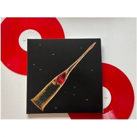 Leprous - Melodies Of Atonement (Clear Red) (0198028132015) виниловая пластинка - фото 11