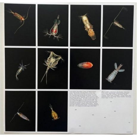 Leprous - Melodies Of Atonement (Clear Red) (0198028132015) виниловая пластинка - фото 4