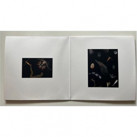 Leprous - Melodies Of Atonement (Clear Red) (0198028132015) виниловая пластинка - фото 6