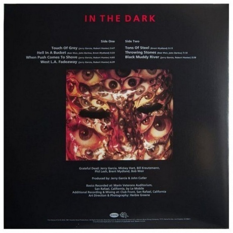 Grateful Dead - In The Dark (0603497830770) виниловая пластинка - фото 2