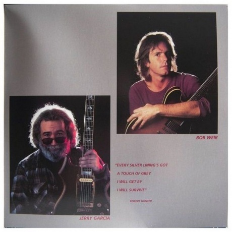 Grateful Dead - In The Dark (0603497830770) виниловая пластинка - фото 4