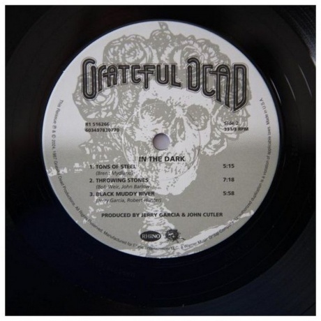 Grateful Dead - In The Dark (0603497830770) виниловая пластинка - фото 8
