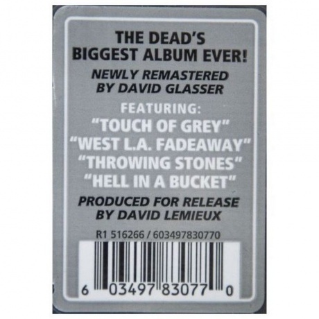 Grateful Dead - In The Dark (0603497830770) виниловая пластинка - фото 9