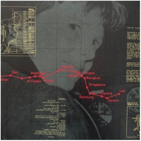 Laurie Anderson - Amelia (0075597909340) виниловая пластинка - фото 2