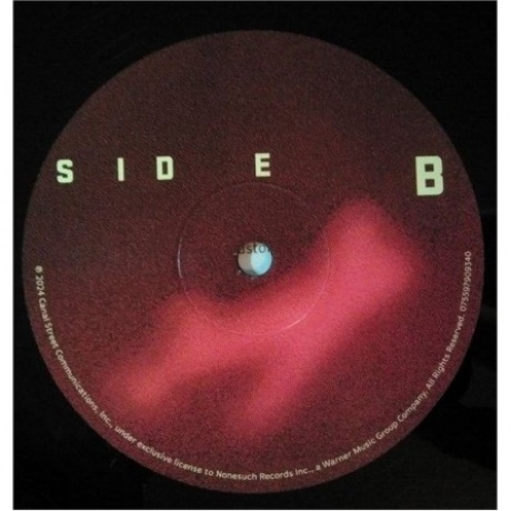 Laurie Anderson - Amelia (0075597909340) виниловая пластинка - фото 6