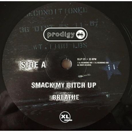 Prodigy - The Fat Of The Land (0634904012113) виниловая пластинка - фото 7