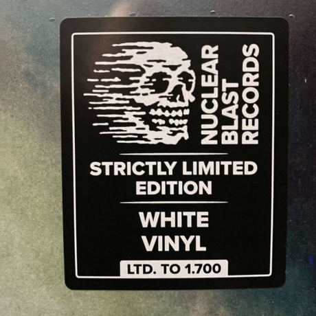 Deathstars - Everything Destroys You (White) (0727361480073) виниловая пластинка - фото 5