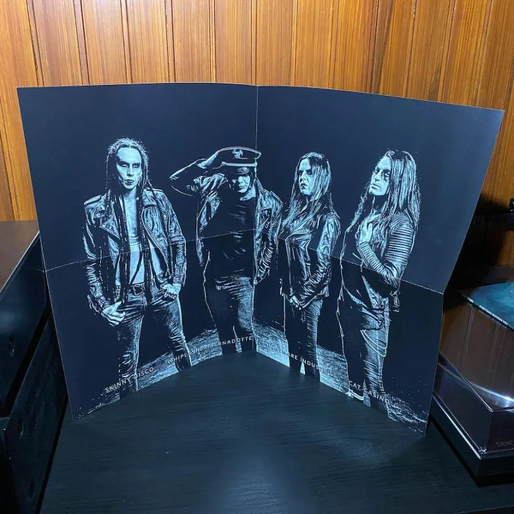 Deathstars - Everything Destroys You (White) (0727361480073) виниловая пластинка - фото 6