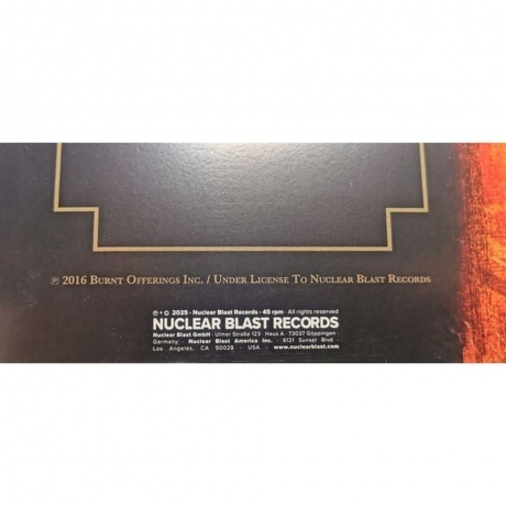 Testament - Brotherhood Of The Snake (Green) (0727361383190) виниловая пластинка - фото 3