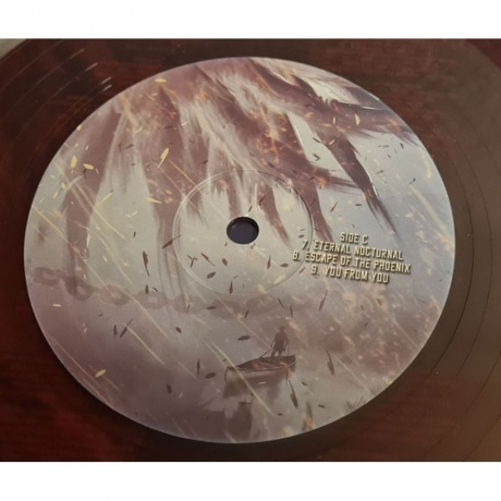 Evergrey - Escape Of The Phoenix (coloured) (0884860404815) виниловая пластинка - фото 12
