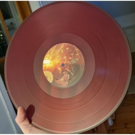 Evergrey - Escape Of The Phoenix (coloured) (0884860404815) виниловая пластинка - фото 7