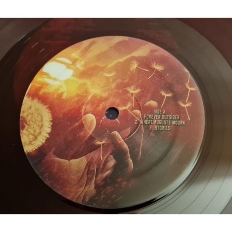 Evergrey - Escape Of The Phoenix (coloured) (0884860404815) виниловая пластинка - фото 9