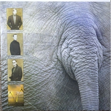 Rush - Roll The Bones (0603497823246) виниловая пластинка - фото 5