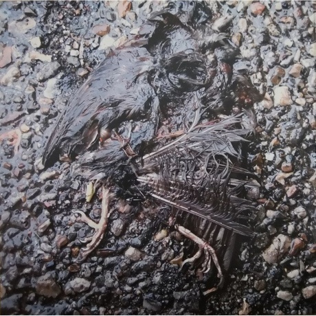 John Grant - Queen Of Denmark (coloured) (5400863033996) виниловая пластинка - фото 3