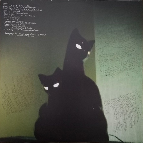 John Grant - Queen Of Denmark (coloured) (5400863033996) виниловая пластинка - фото 10