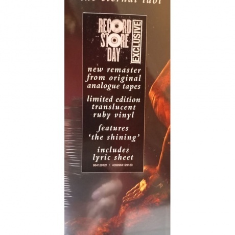 Black Sabbath - The Eternal Idol (coloured) (4099964129120) виниловая пластинка - фото 10