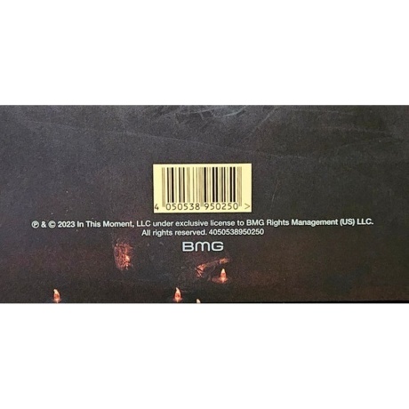 In This Moment - Godmode (coloured) (4050538950250) виниловая пластинка - фото 10