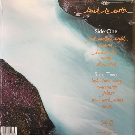 Cat Stevens - Back To Earth (4050538899665) виниловая пластинка - фото 2