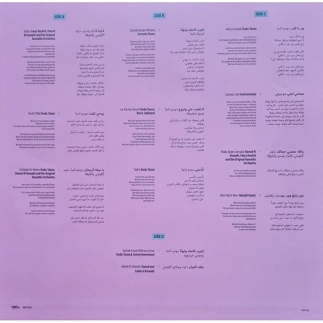 Dudu Tassa - Dudu Tassa &amp; The Kuwaitis (4050538977189) виниловая пластинка - фото 4