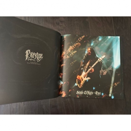 Arch Enemy - Blood Dynasty (coloured) (0198028389518) виниловая пластинка - фото 13