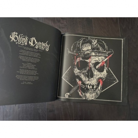 Arch Enemy - Blood Dynasty (coloured) (0198028389518) виниловая пластинка - фото 14