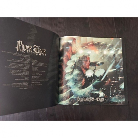 Arch Enemy - Blood Dynasty (coloured) (0198028389518) виниловая пластинка - фото 15