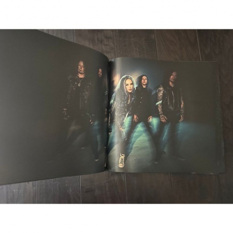 Arch Enemy - Blood Dynasty (coloured) (0198028389518) виниловая пластинка - фото 16