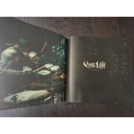 Arch Enemy - Blood Dynasty (coloured) (0198028389518) виниловая пластинка - фото 17