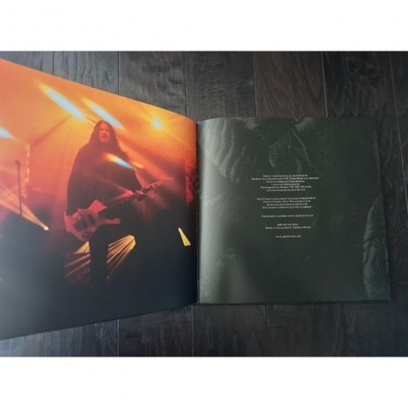 Arch Enemy - Blood Dynasty (coloured) (0198028389518) виниловая пластинка - фото 22