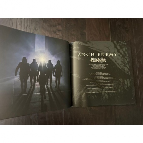 Arch Enemy - Blood Dynasty (coloured) (0198028389518) виниловая пластинка - фото 23