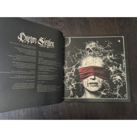 Arch Enemy - Blood Dynasty (coloured) (0198028389518) виниловая пластинка - фото 8