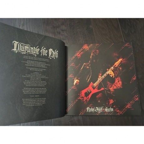 Arch Enemy - Blood Dynasty (coloured) (0198028389518) виниловая пластинка - фото 9