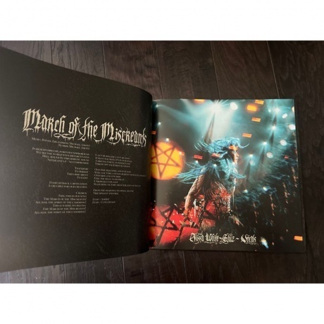 Arch Enemy - Blood Dynasty (coloured) (0198028389518) виниловая пластинка - фото 10