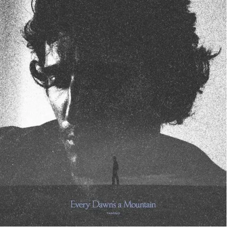 Tamino - Every Dawn's A Mountain (5060998464005) виниловая пласт...