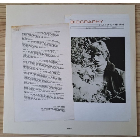 David Bowie - David Bowie (coloured) (0602465547375) виниловая пластинка - фото 9