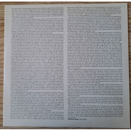 David Bowie - David Bowie (coloured) (0602465547375) виниловая пластинка - фото 10