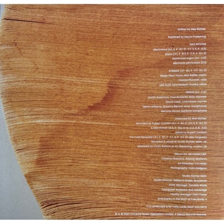 Max Richter - In A Landscape (coloured) (0602458823608) виниловая пластинка - фото 3