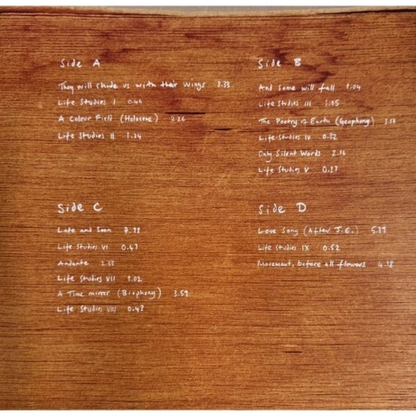 Max Richter - In A Landscape (coloured) (0602458823608) виниловая пластинка - фото 4