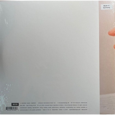 Max Richter - In A Landscape (coloured) (0602458823608) виниловая пластинка - фото 6