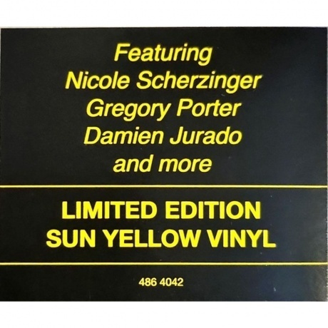 Moby - Resound NYC (coloured) (0028948640423) виниловая пластинка - фото 15