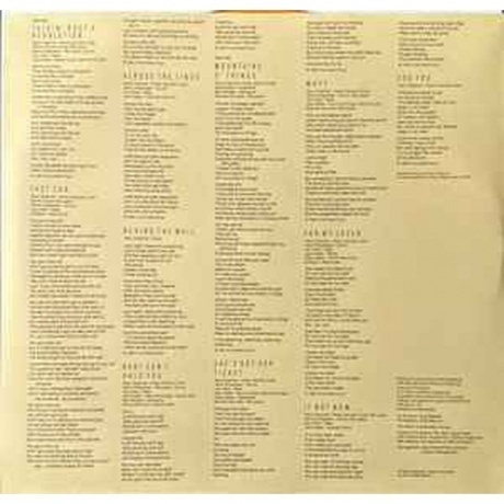 Tracy Chapman - Tracy Chapman (coloured) (0081227827175) виниловая пластинка - фото 12