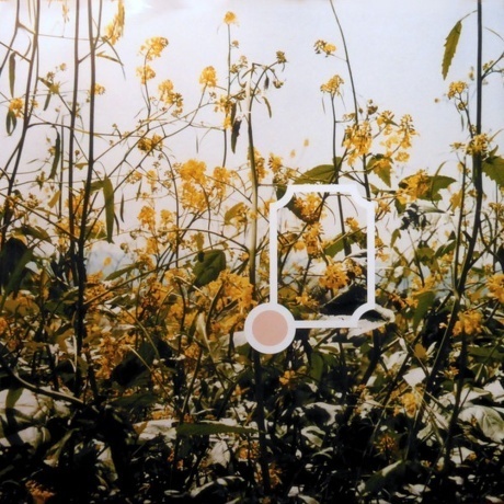 Nelly Furtado - Whoa, Nelly! (0602465224504) виниловая пластинка - фото 12